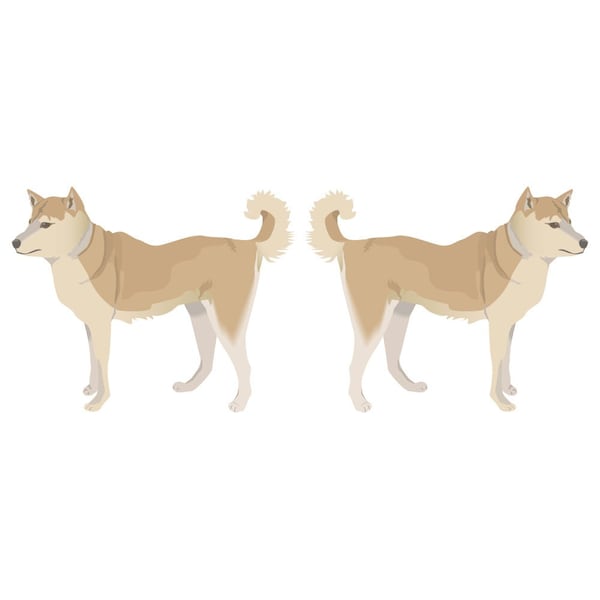 Signmission Finnish Spitz Dog Decal, Dog Lover Decor Vinyl Sticker D-24-Finnish Spitz - main